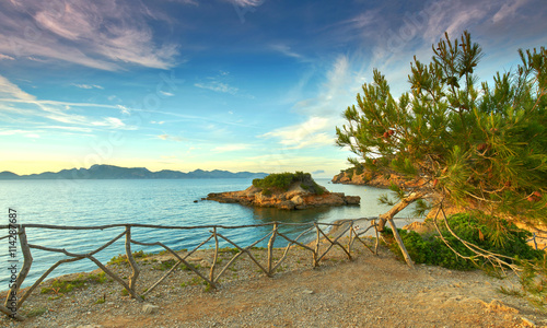 mallorquinische Küste mit Pinienbäumen am Strand
