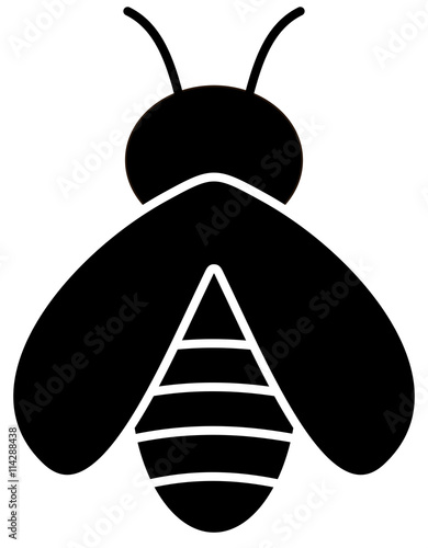 icon bee