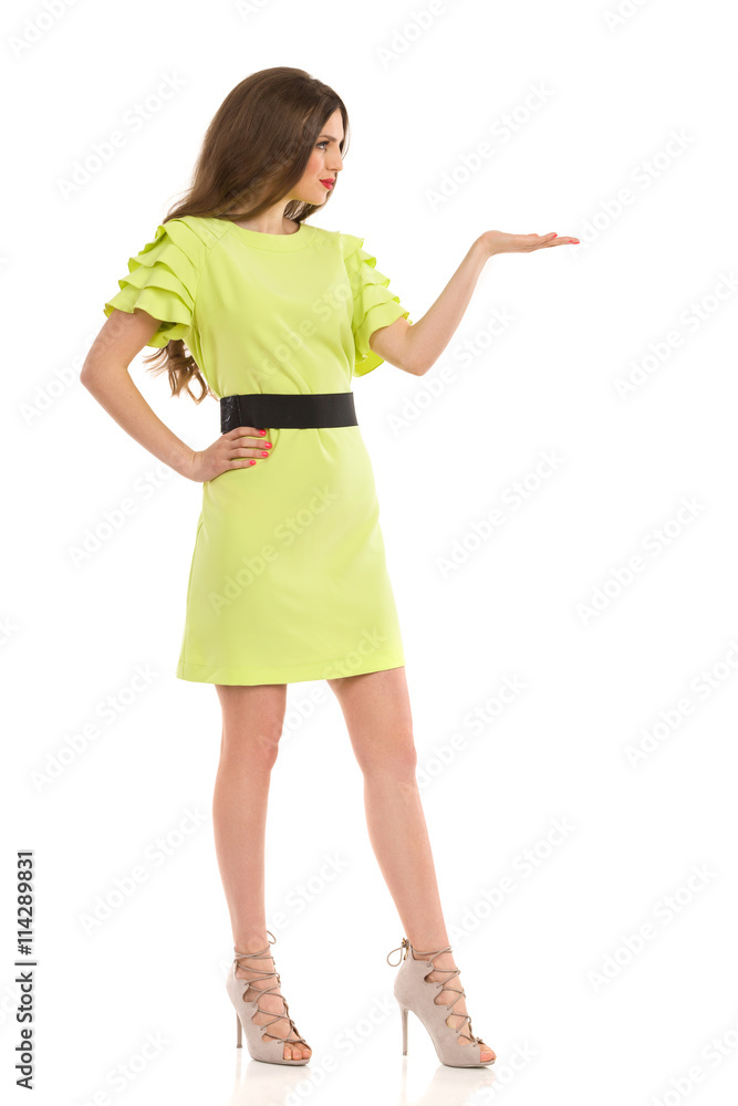 Fashion Model Presenting