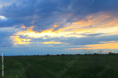 Sunset on meadow © olyasolodenko