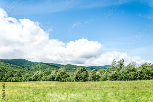 Fototapeta Naklejka Na Ścianę i Meble -  Natura w Bieszczadach