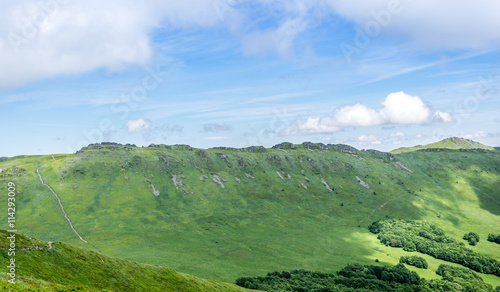 Fototapeta Naklejka Na Ścianę i Meble -  Połonina