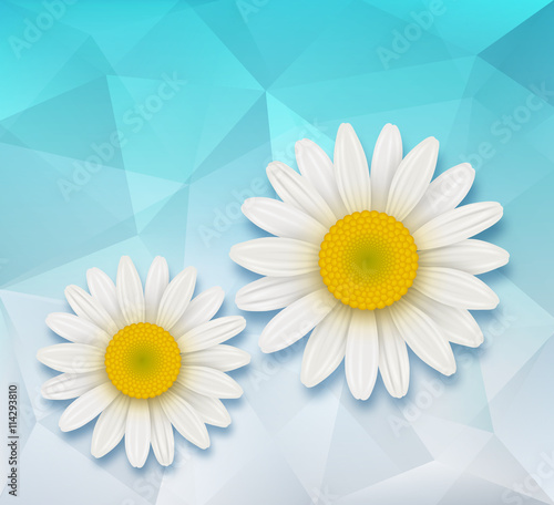 Abstract background with chamomile flowers