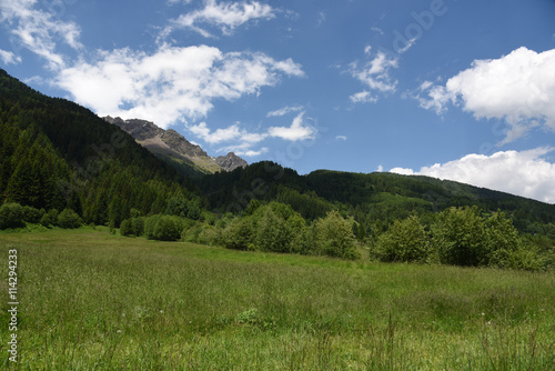 montagna montagne paesaggio di montagna panorama di montagna cime bosco boschi 