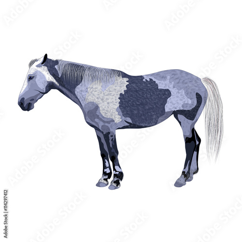 gray horse vector