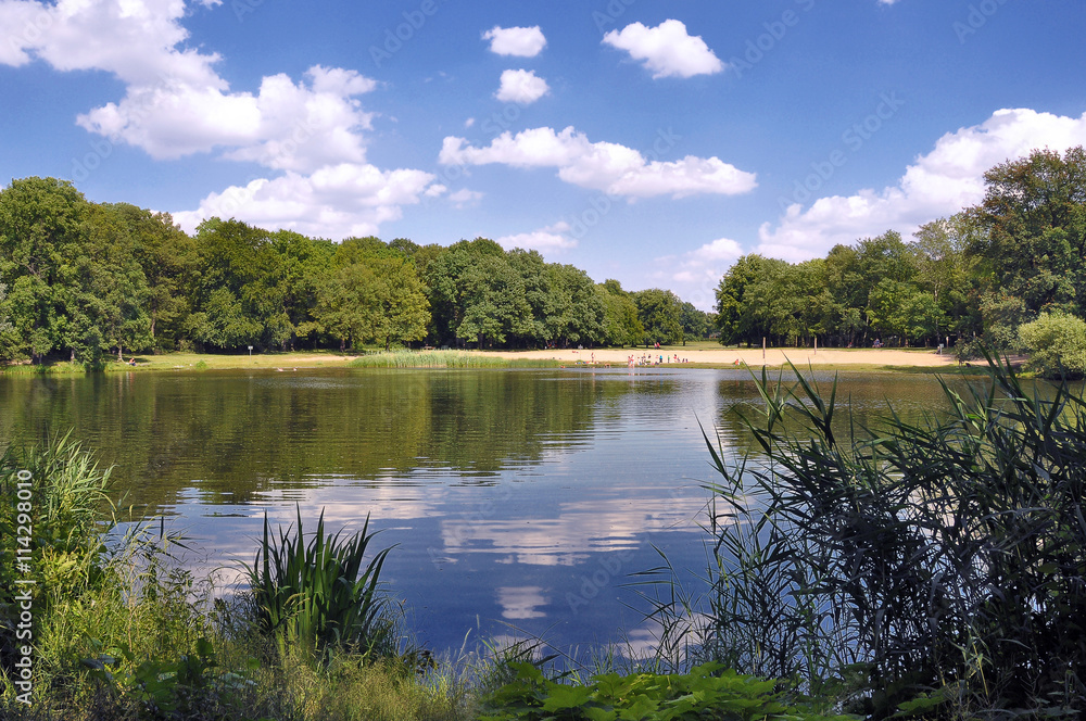 planschwiese StockFoto Adobe Stock