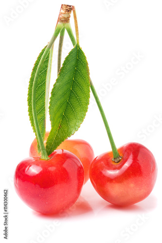 Three cherries with leaf closeup isolated on white background