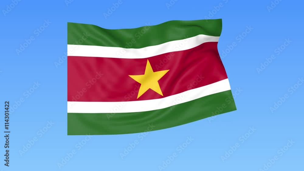 Waving flag of Suriname, seamless loop. Exact size, blue background. Part of all countries set. 4K ProRes with alpha Waving flag of Suriname, seamless loop. Exact size, blue background. Part of all countries set. 4K ProRes with alpha