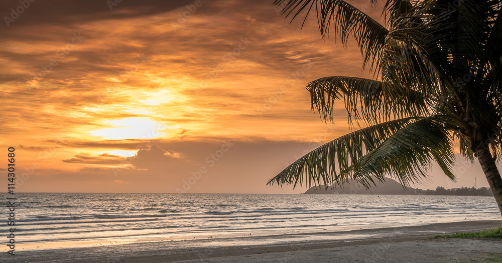 Tropical sunset with palm trees silhouette at beach