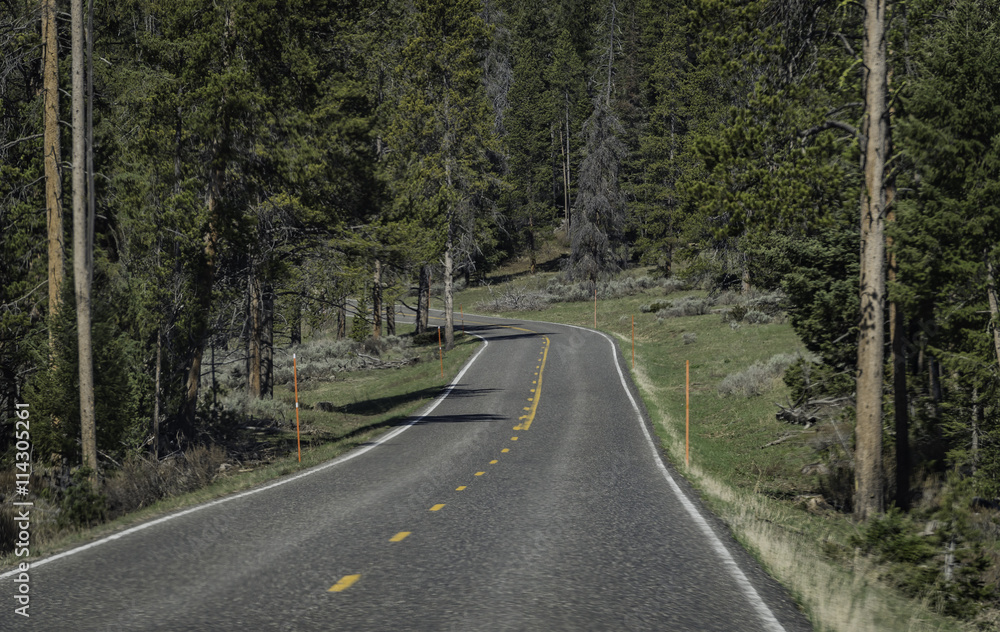 Empty road head to Yellowstone National park south entrance Empty road head to Yellowstone National park south entrance