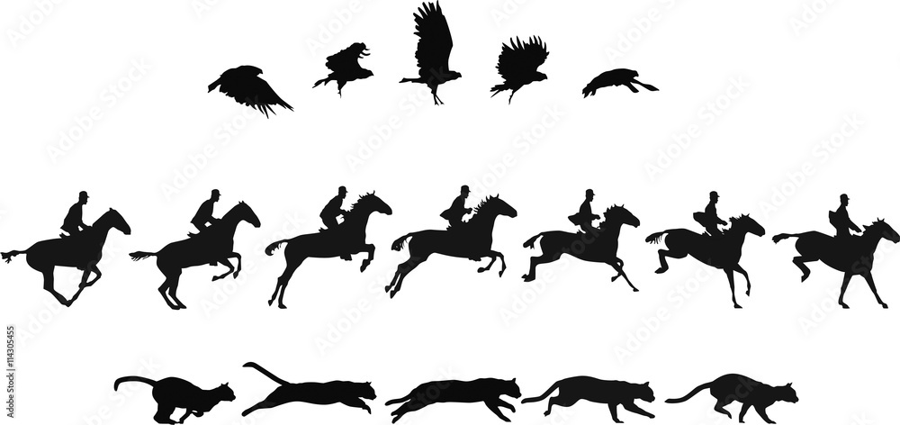 Naklejka premium Do The Locomotion 2: motion studies of vulture, horse rider (rider removable) and cat