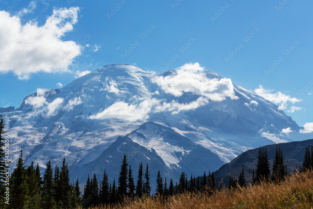 Fototapeta premium Mt.Rainier