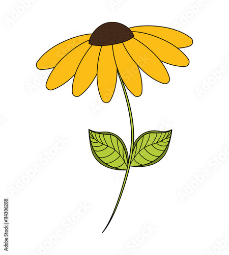 Floral and garden concept represented by flower icon . Colorfull and flat illustration