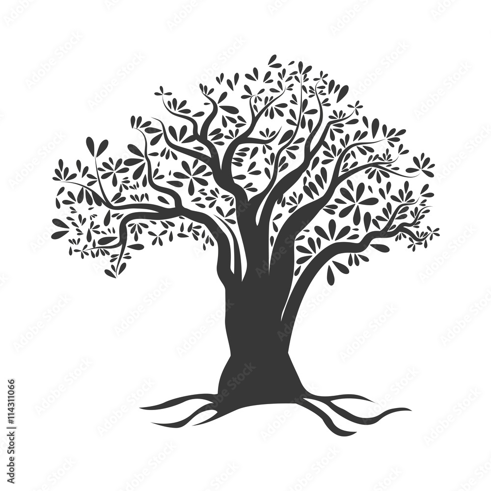 Organic and Healthy food concept represented by olive tree icon. isolated and flat illustration 
