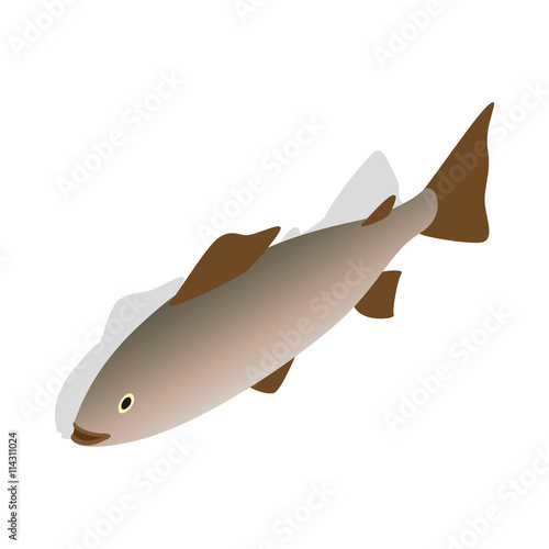 Baltic herring icon, isometric 3d style