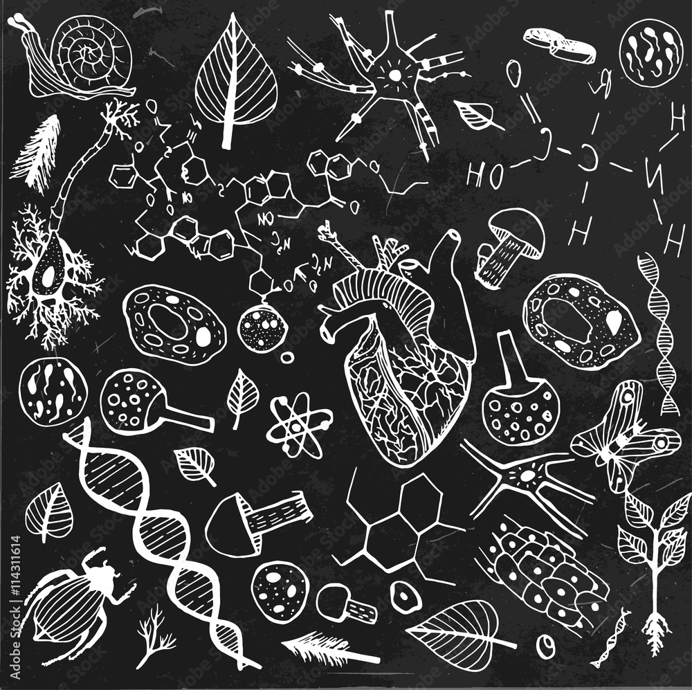 Naklejka premium Biological Background vector