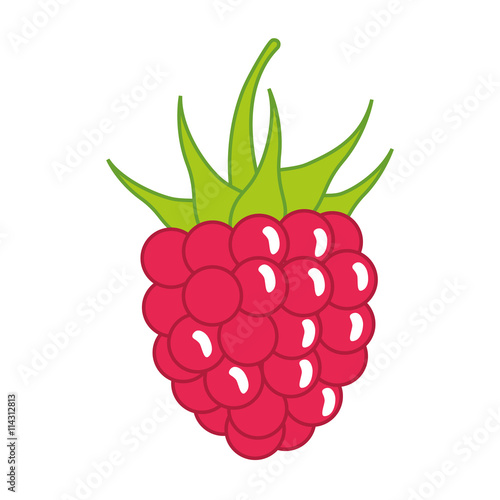 Organic and Healthy food concept represented by blackberry fruit icon. isolated and flat illustration 