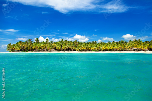 Palm trees on the tropical beach, Dominican Republic © tgordievskaya