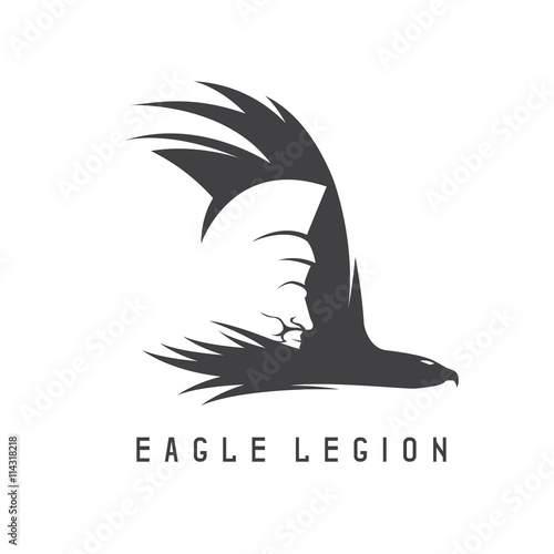 negative space vector concept of spartan warrior head in eagle