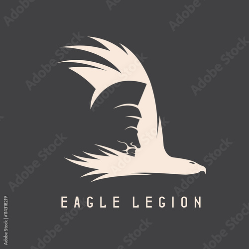 negative space vector concept of spartan warrior head in eagle