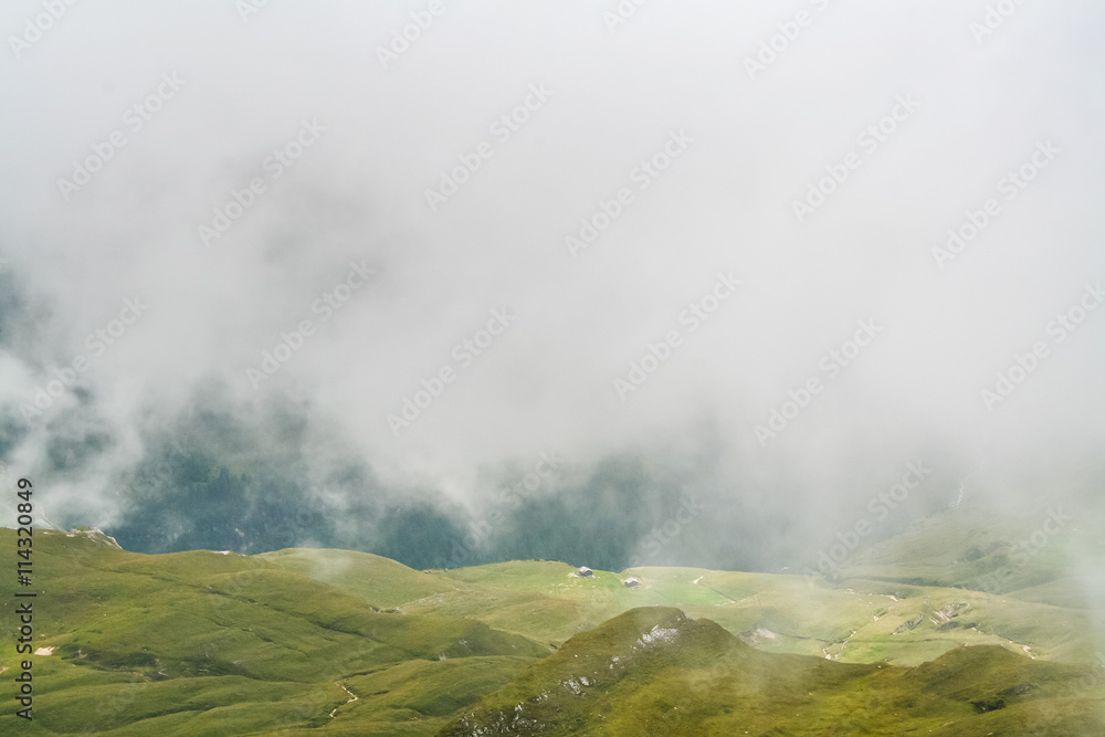 Lush meadows in the mountains in foggy weather