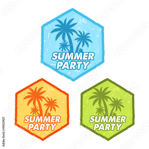 summer party with palms sign, grunge flat design hexagons labels