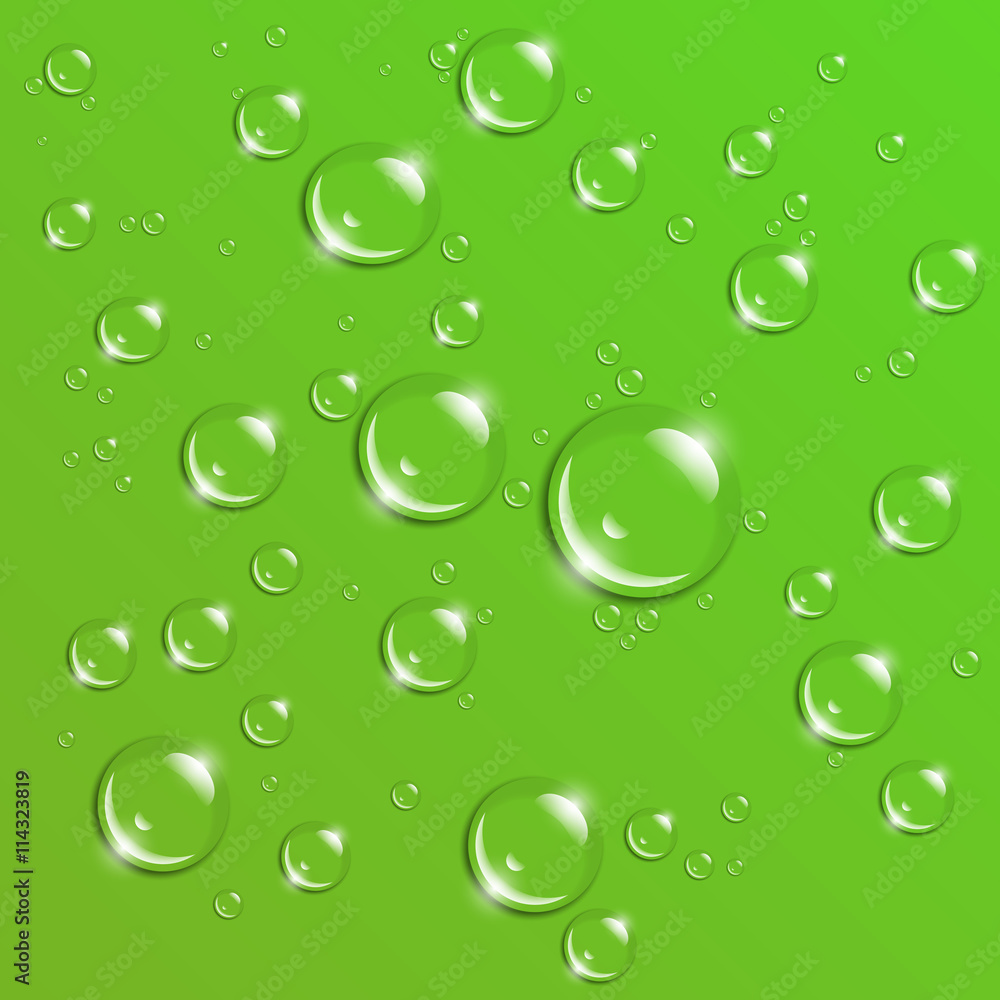 Raindrops on a green background