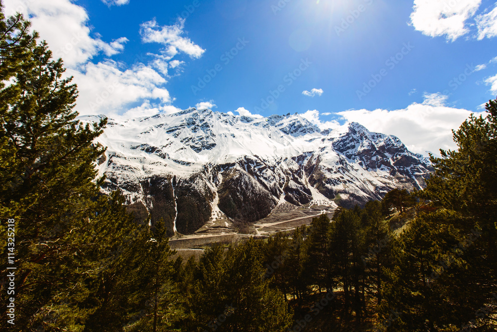 Obraz premium The snow on top of the Caucasus mountains on a clear Sunny day. In the light of the sun. In the foreground a forest