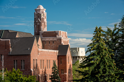 Pine tree and red brick buildings on a campus