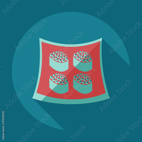 Flat modern design with shadow icons Japanese sushi