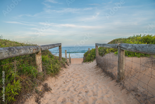 Photography Palm Beach, north of Sydney.