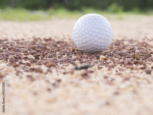 Golf ball on the lawn - Golf Background.