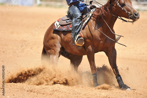 The side view of the rider in leather chaps sliding his horse forward and raising up the 