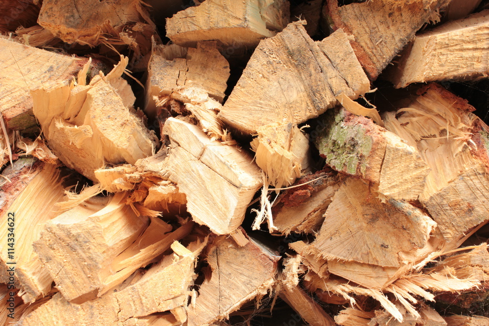Holz Stapel Wald Wirtschaft Forst Holz Stapel Wald Wirtschaft Forst