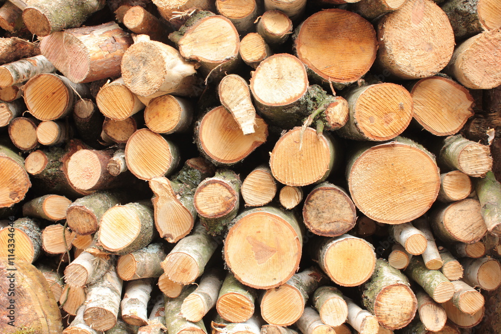 Holz Stapel Wald Wirtschaft Forst 