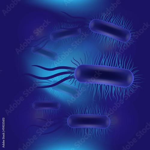 Escherichia coli virus