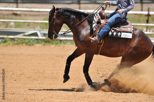 The side view of the rider in leather chaps sliding his horse forward and raising up the clouds of dust