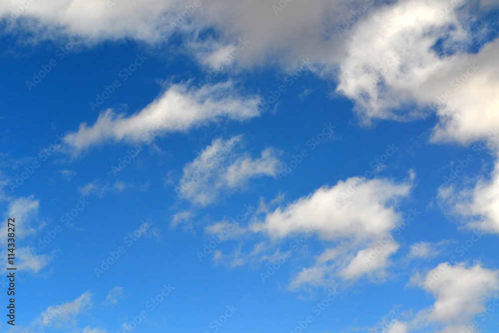 Obraz premium texture cloud the summer sky