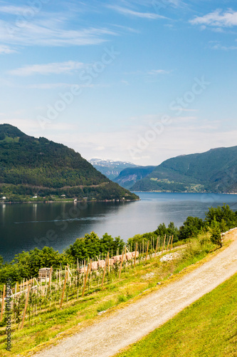 Landscape near Hardangerfjord in Norway