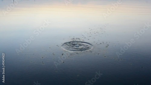 Stone falls into water producing circles on calm blue surface