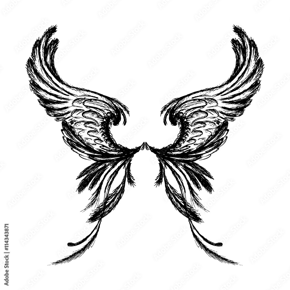 Obraz premium Wings isolated on white background,hand drawing