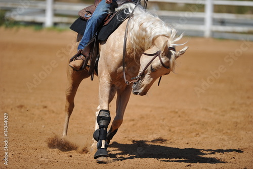 The front view of the rider sliding his horse forward 
