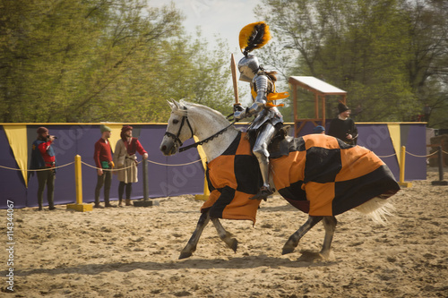 The horse knights in an armour and in a helmet with a sword in a photo