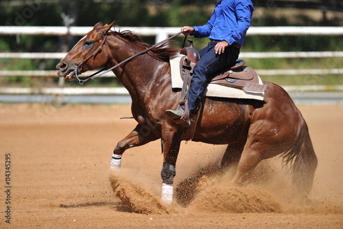 The side view of the rider sliding his horse forward and raising up the clouds of dust