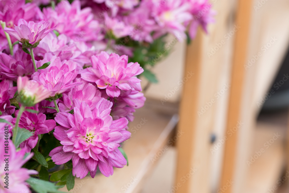 Fototapeta premium Many newborn rabbit or group of baby bunny sleeping in white cloth