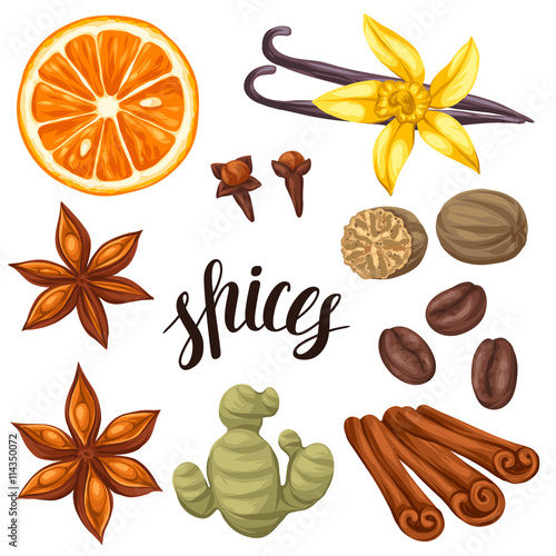 Various stylized spices set. Illustration of anise, cloves, vanilla, ginger and cinnamon
