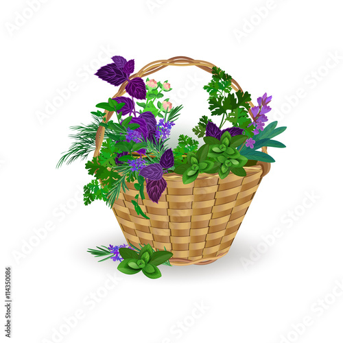 Herbs and spices in a wicker basket on a white background.