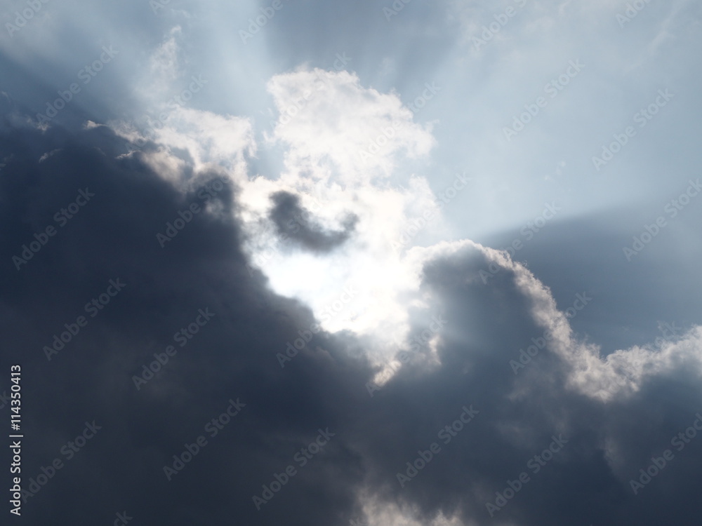 Fototapeta premium 日の光