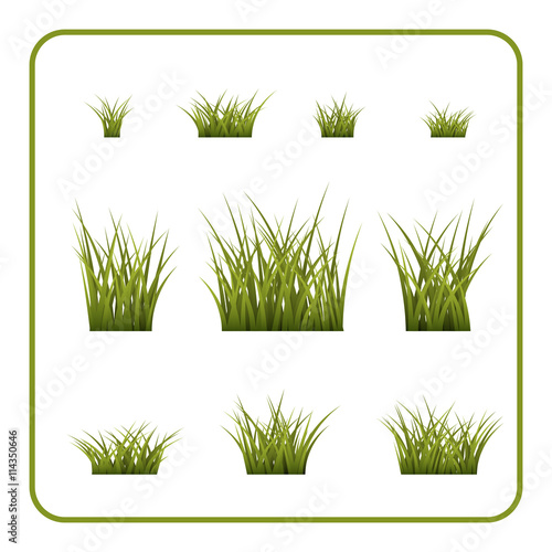 Green grass bushes set. Nature plant background. Collection silhouettes isolated on white. Symbol of field  lawn  spring and meadow  fresh  summer. Elements for design environment. Vector illustration