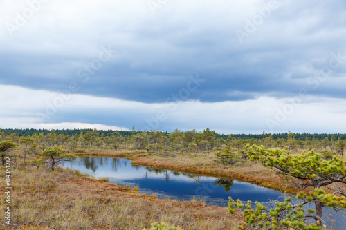 Fototapeta Naklejka Na Ścianę i Meble -  Beautiful Small lake in Kemeri National Park, Latvia, with a sky reflection in water surface.